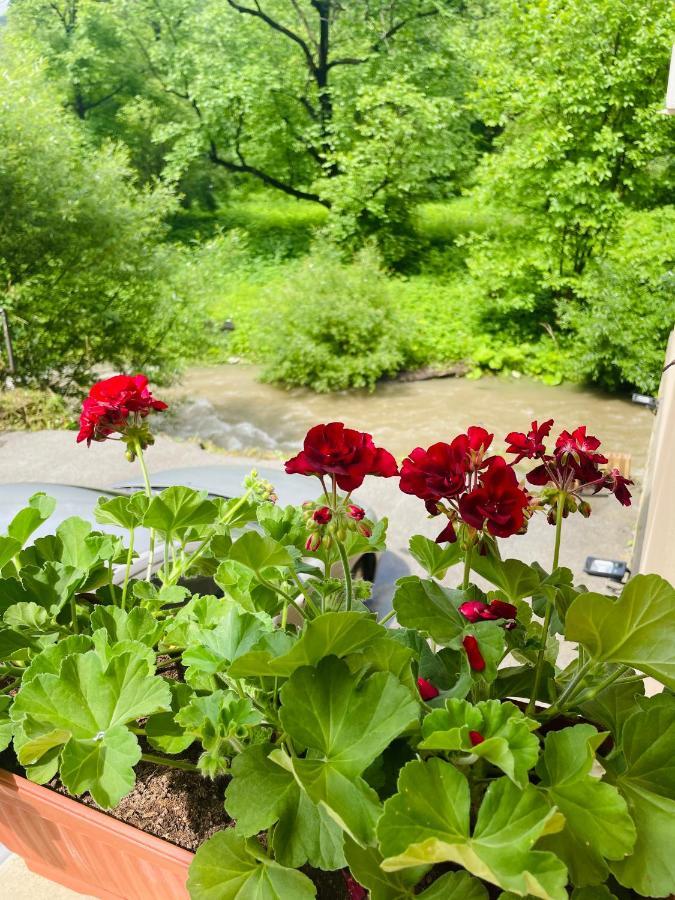 Guest House Mikaela 가브로보 외부 사진
